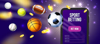 Everything You Need to Know About Crickex Login Bangladesh 0